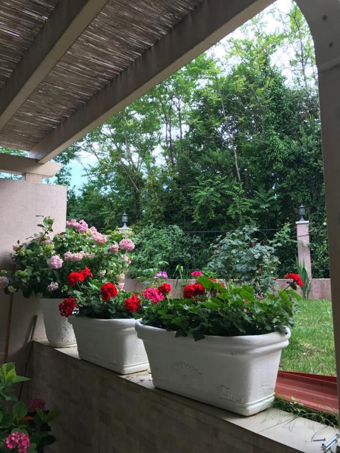تْشيرسيك نوفي Villa Alla Bed And Breakfast المظهر الخارجي الصورة